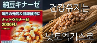 [추천] 낫토엑기스 모음