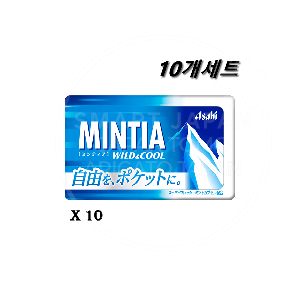 아사히 민티아 구강청정캔디 10개세트 와일드 쿨