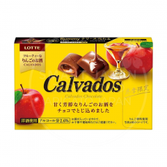 롯데 칼바도스 calvados 노랑 / 일본 초콜릿