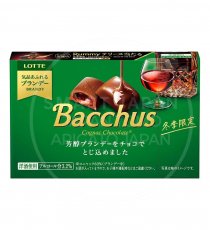 롯데 바커스 bacchus 초록 / 일본 초콜릿