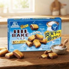 일본 모리나가 베이크 소금쿠키&쇼콜라 10입 30g