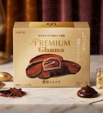 일본 롯데 프리미엄 가나 진한 쇼콜라 초콜릿 60g