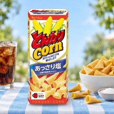 일본 하우스 톤가리콘 담백한 소금맛 빨강 62g /일본 꼬깔콘