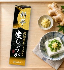 일본 하우스 료테이 생강 고치산 생강 튜브 31g