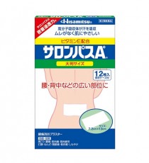 샤론파스 Ae대형 (사론파스)12매입