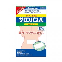 샤론파스 Ae대형 (사론파스)12매입