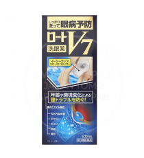 로토제약 로토 V7 500ml _눈 세안제_아이봉