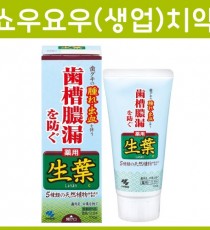 쇼요(생엽)치약 100g