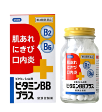 [쿠니히로] 비타민 BB플러스  250정 (대용량)